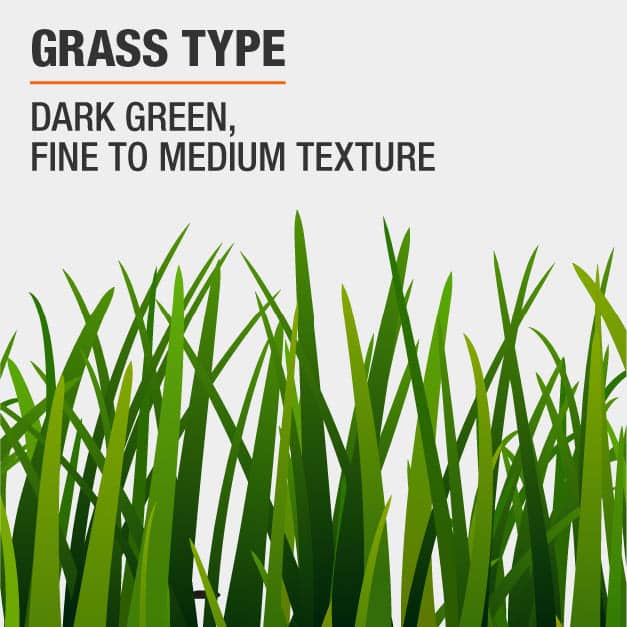 Vigoro 20 lbs. Sun and Shade Grass Seed Mix with Water Saver Seed