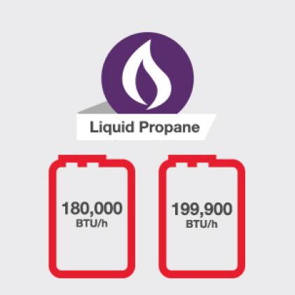 Rheem Performance Platinum 9.5 GPM Liquid Propane High Efficiency Outdoor  Tankless Water Heater ECOH200XLP-2 - The Home Depot