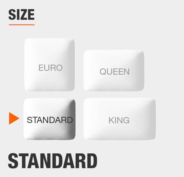 Size Standard