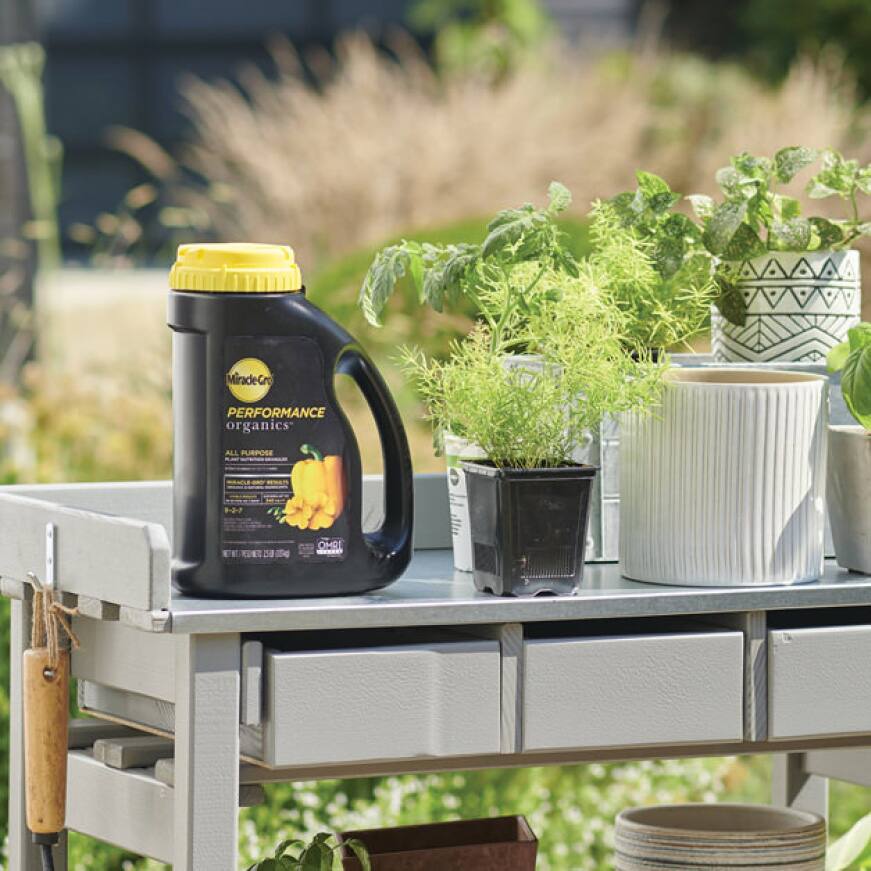 Product in Environment Shot.