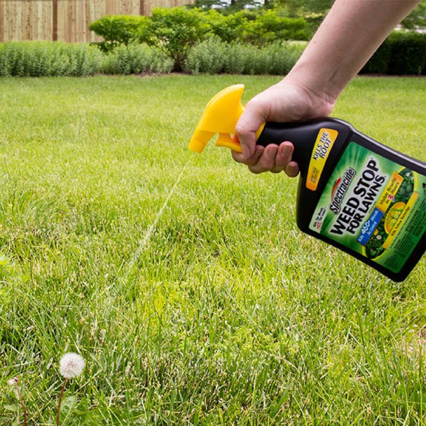 Spectracide 1 33 Gal Weed Stop For Lawns With Accushot Sprayer Ready To Use Lawn Weed Killer HG 