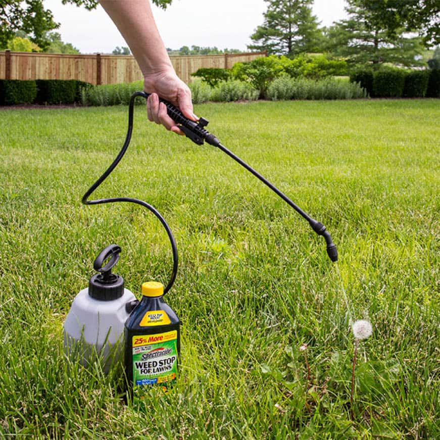 Spectracide 32 Oz Weed Stop For Lawns Ready To Spray Lawn Weed Killer HG 96541 The Home Depot