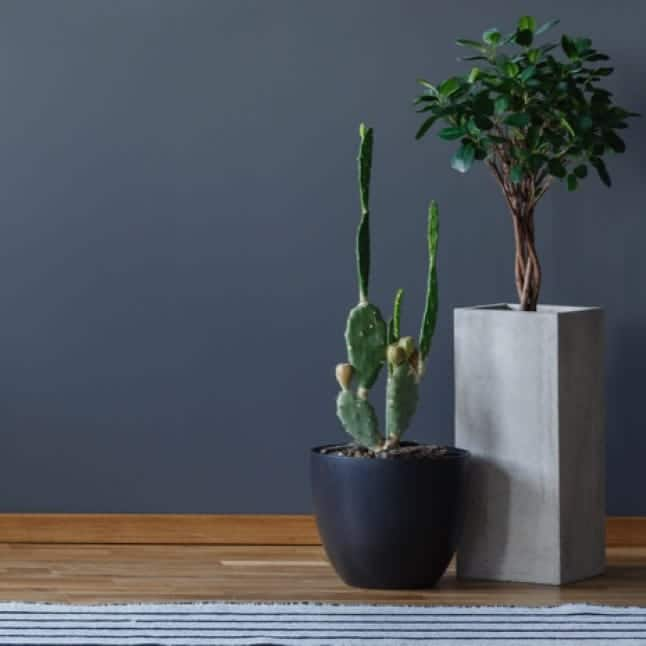 Matte Gray Paint On Dining Room Wall