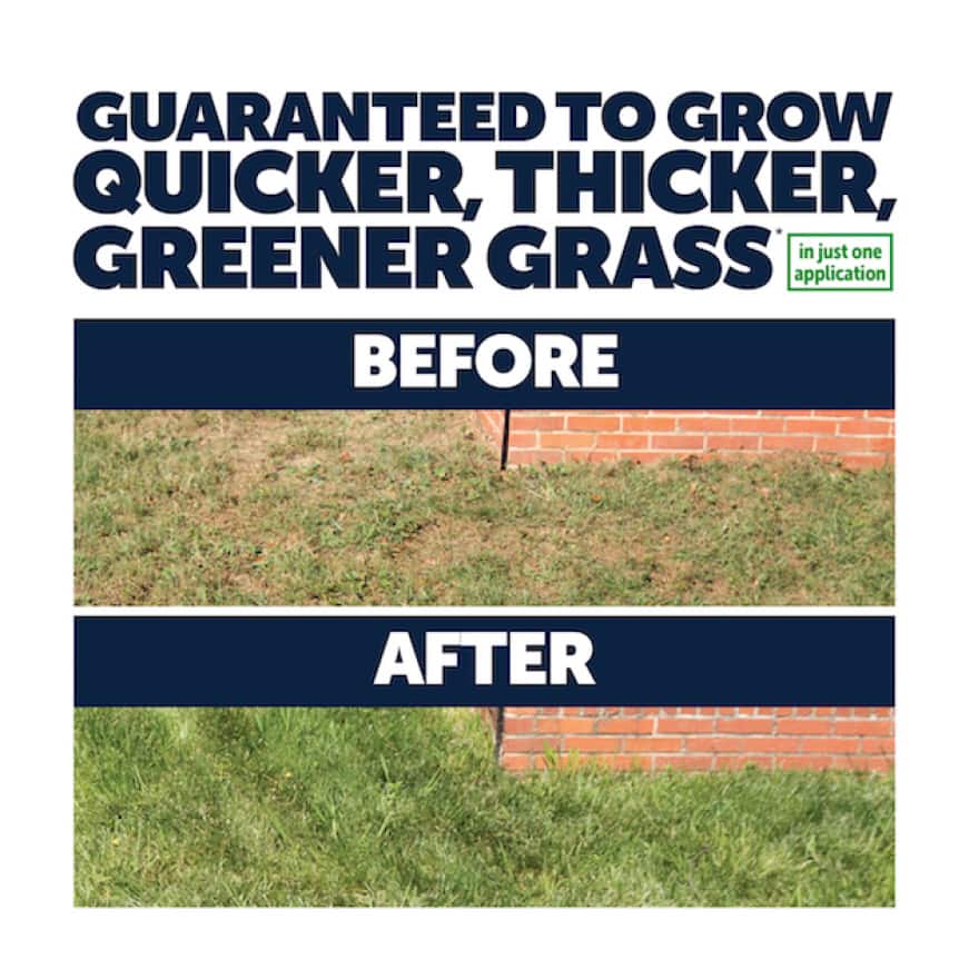 Pennington 35 lbs. Tall Fescue Lawn Booster with Smart Seed, Fertilizer and Soil Enhancers