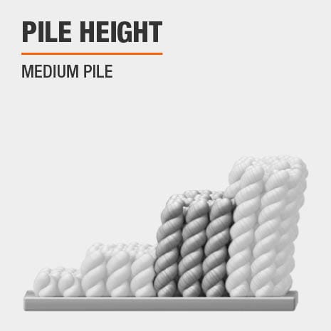 Area Rug has a Medium Pile height