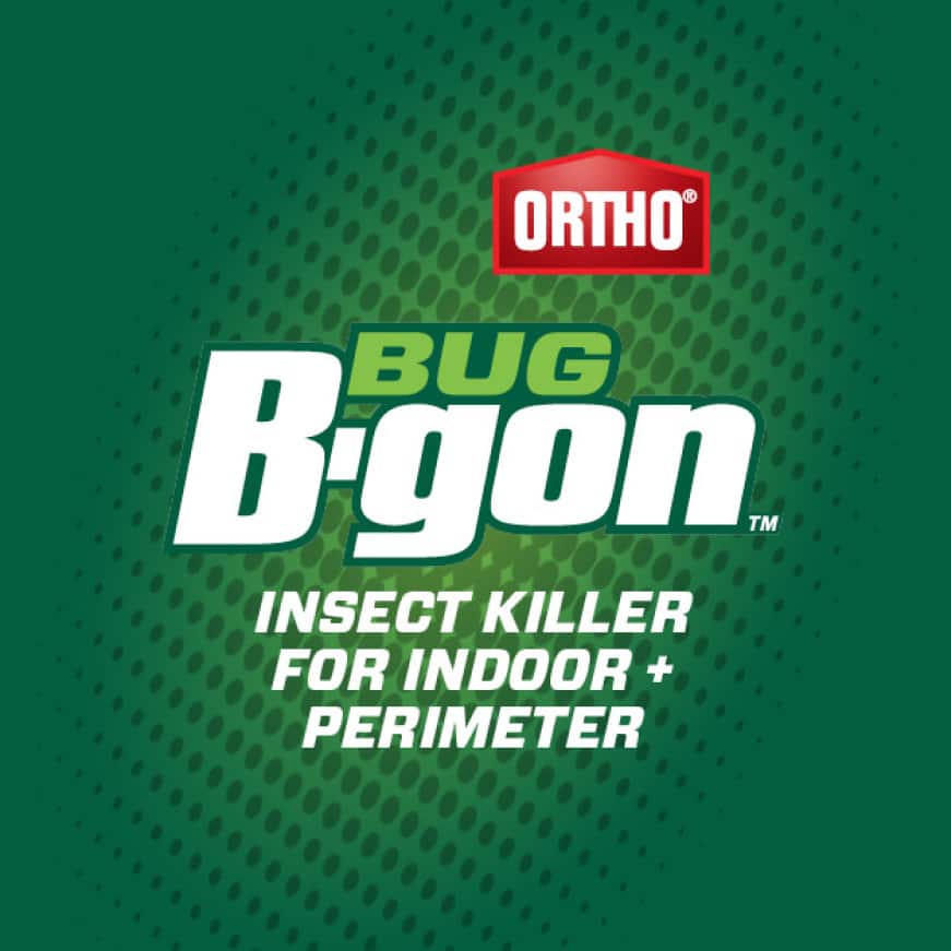 Ortho Bug Bgon 1 gal. Insect Killer for Indoor plus Perimeter1 with