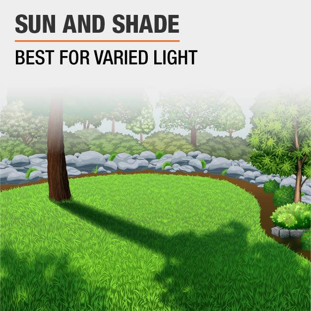 Vigoro 3 lbs. Sun and Shade Grass Seed Mix 100544411 The Home Depot