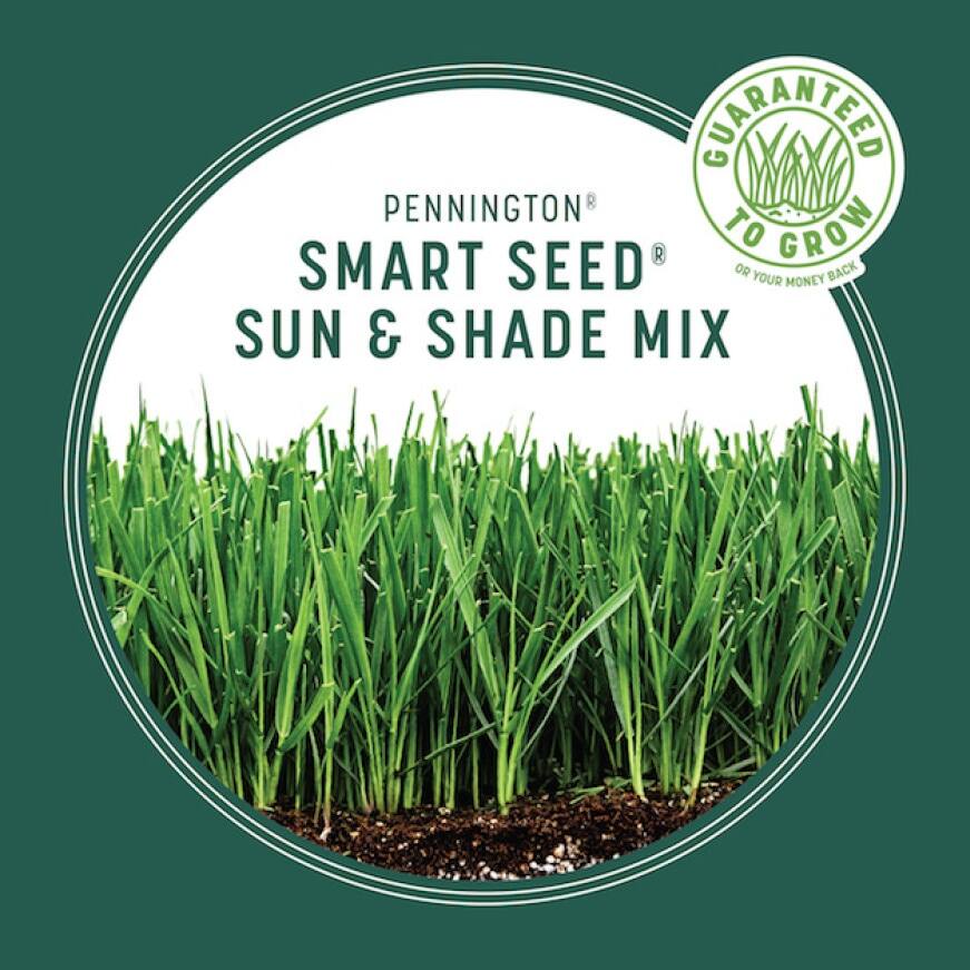 Pennington Smart Seed 20 lbs. Sun and Shade North Grass Seed and