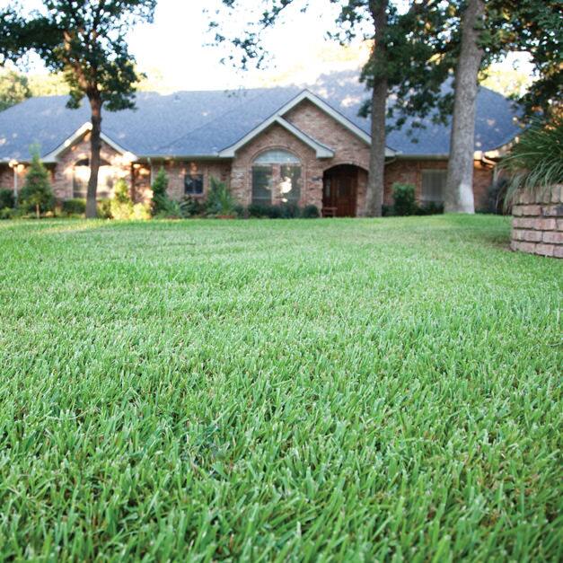 Scotts 5 000 Sq Ft Southern Lawn Fertilizer Program For Centipede St Scotts 5 000 Sq Ft Southern Lawn Fertilizer Program For Centipede St