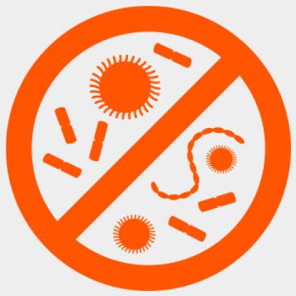 Hardwood Reflections Solid Birch Butcher Block Wood is naturally antibacterial