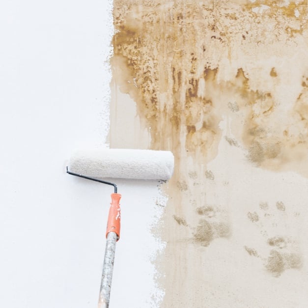 PPG Gripper 1 gal. Grey Interior/Exterior Acrylic Primer Sealer 1800