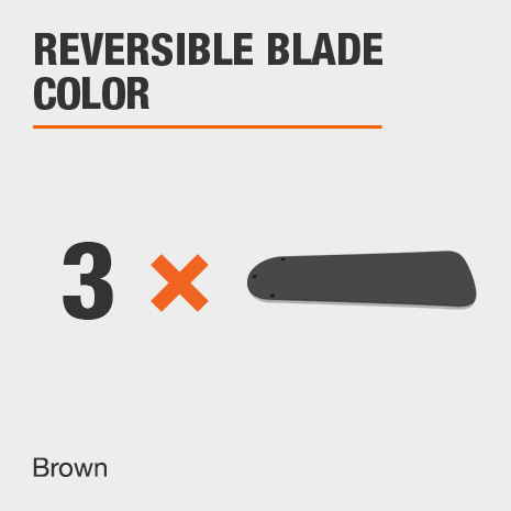 Ceiling fan with reversible blades
