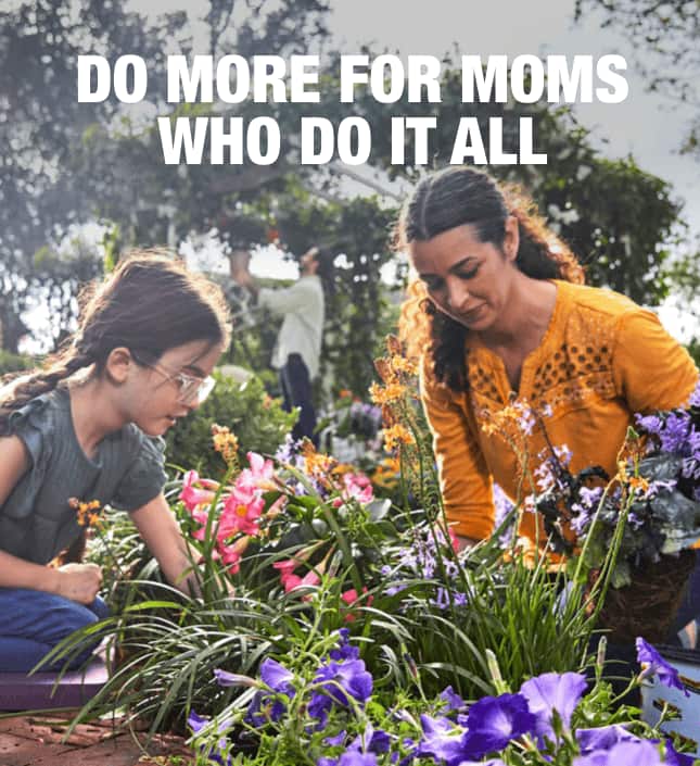 Home Depot Mother S Day Home Depot Mother S Day, Gardening Gifts For Mom Home Depot