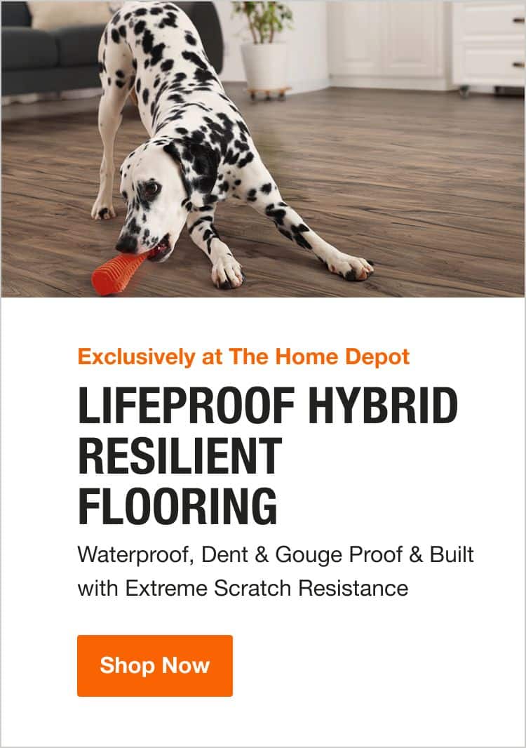 Are Dogs Allowed In Home Depot Usa