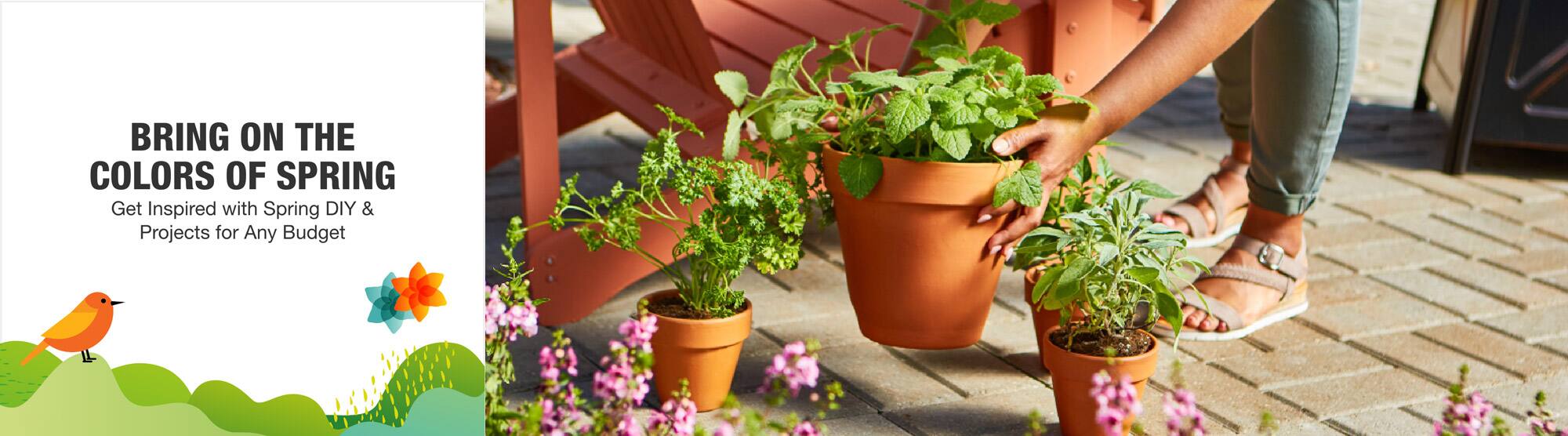BRING ON THE COLORS OF SPRING.Get Inspired with Spring DIY & Projects for Any Budget