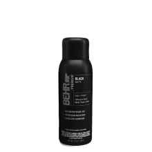 BEHR PRO® Same Day Next Day Delivery- The Home Depot