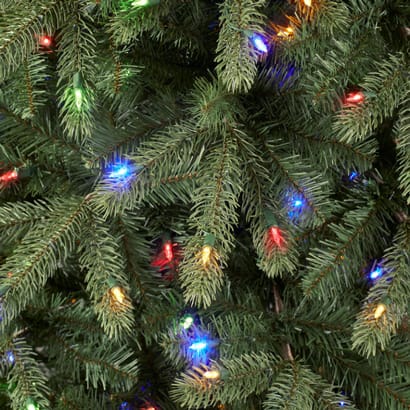 Home Depot Christmas Trees 2022 (Types, Prices + More)