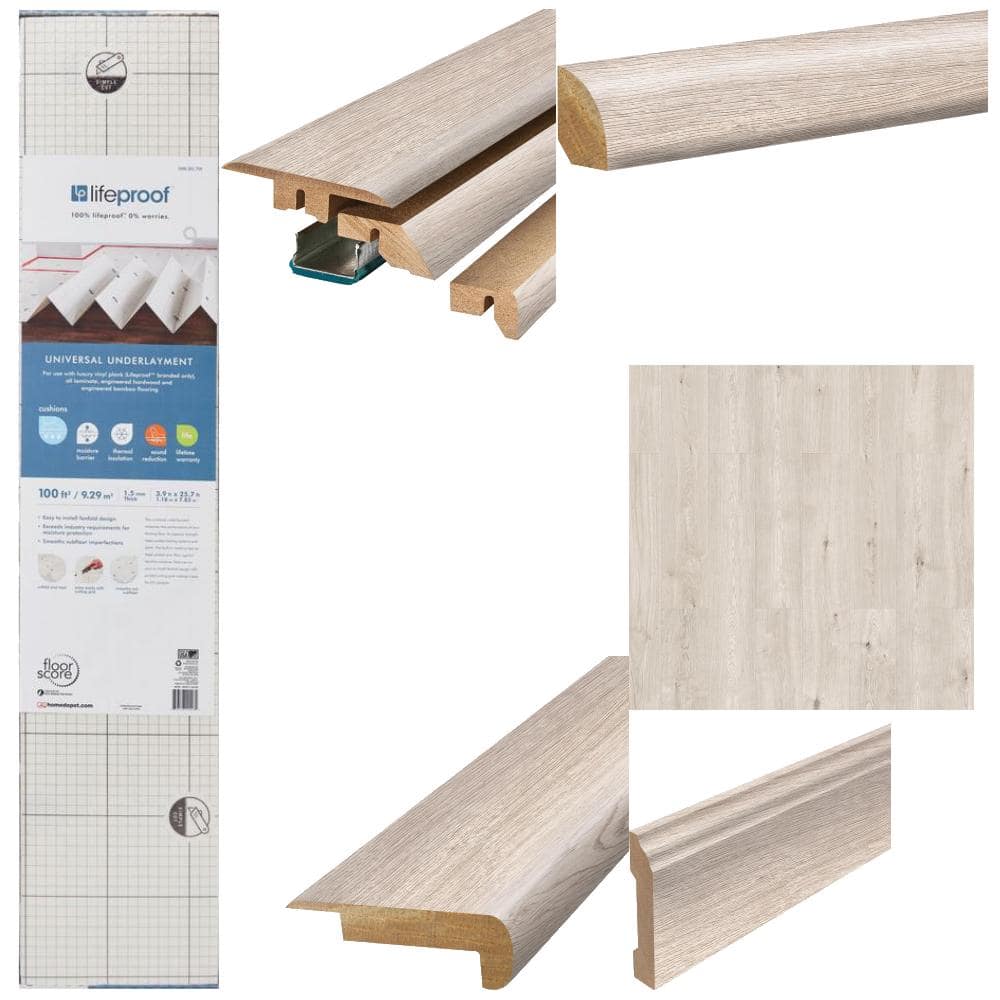 Home Decorators Collection logo.